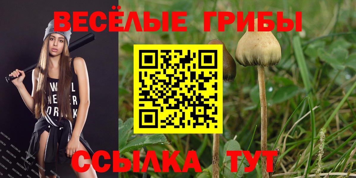Псилоцибиновые грибы мухоморы Алапаевск